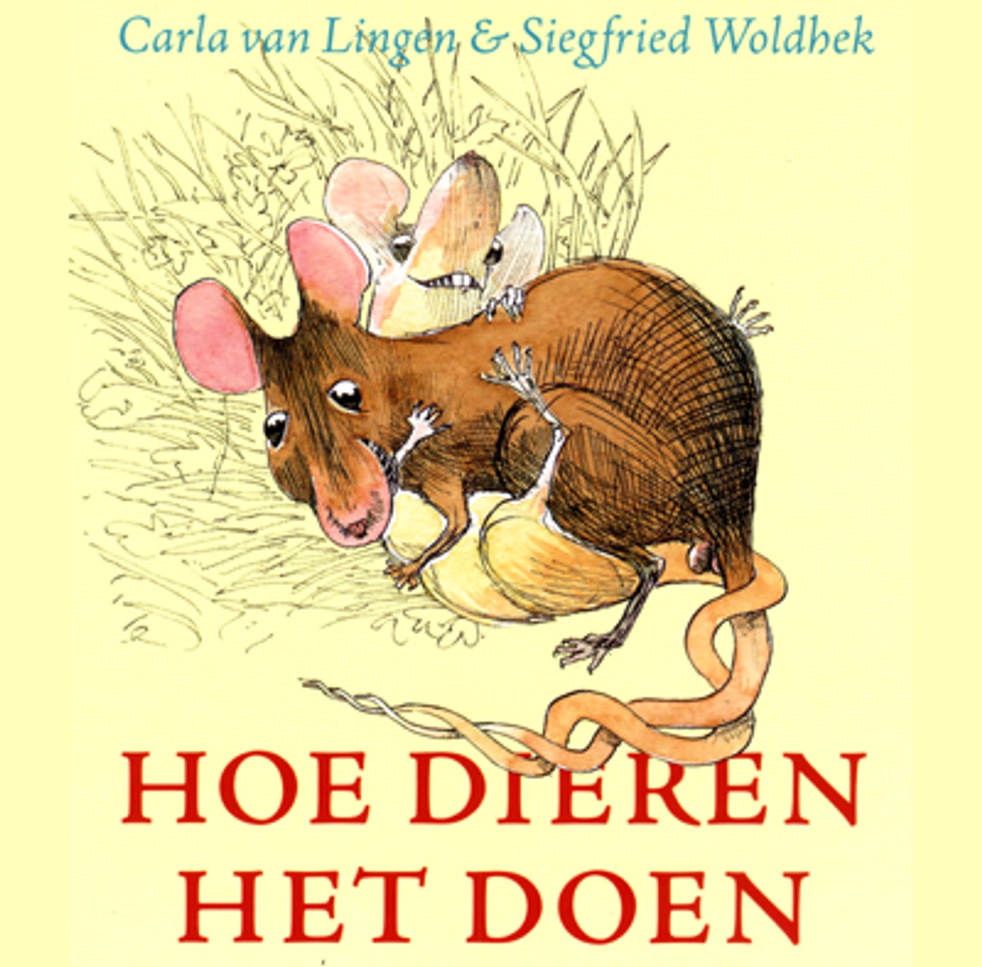 Hoe Dieren Het Doen - Vroege Vogels