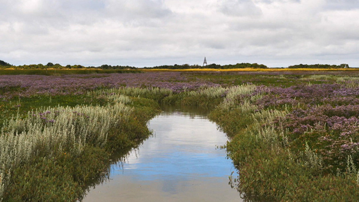 11%2F07%2F24+Schiermonnikoog+Vogel+het+Uit%21+%26%238211%3B+Vogelspeurtocht+voor+Kinderen