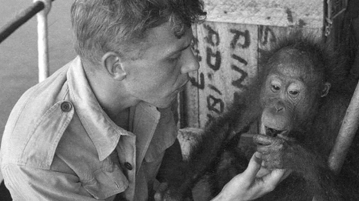 Attenborough met Charlie de orang-oetan aan boord van de Kruwing
