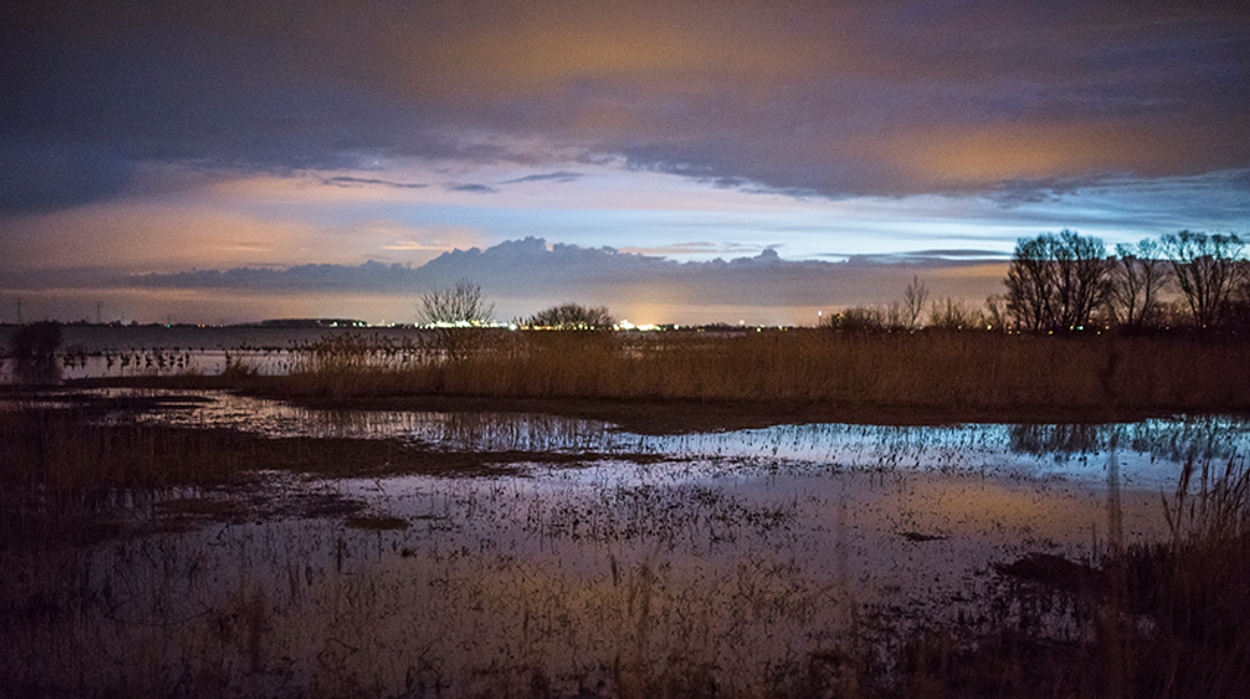 Boswachter In De Brabantse Wal - Vroege Vogels - BNNVARA