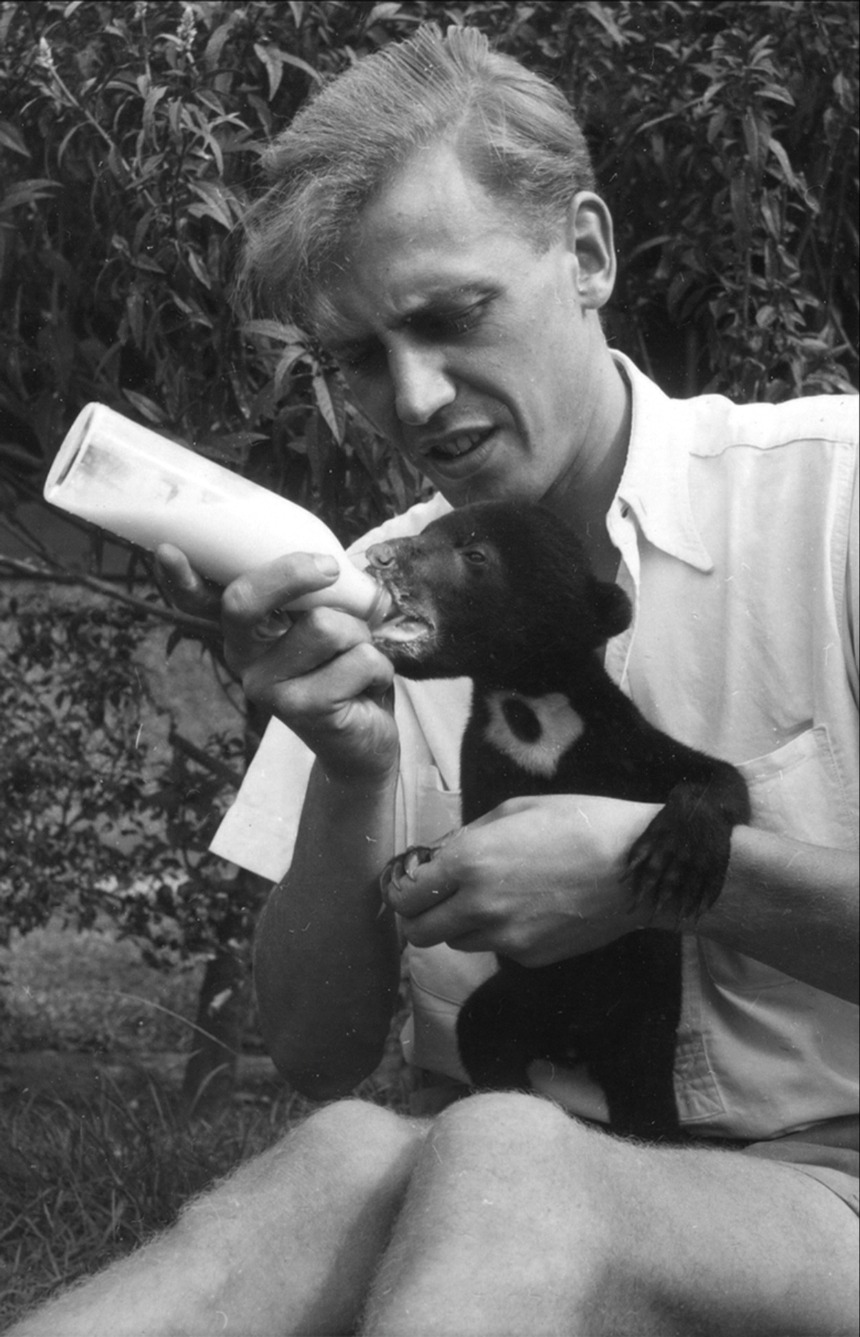 David Attenborough met Benjamin, het berenjong