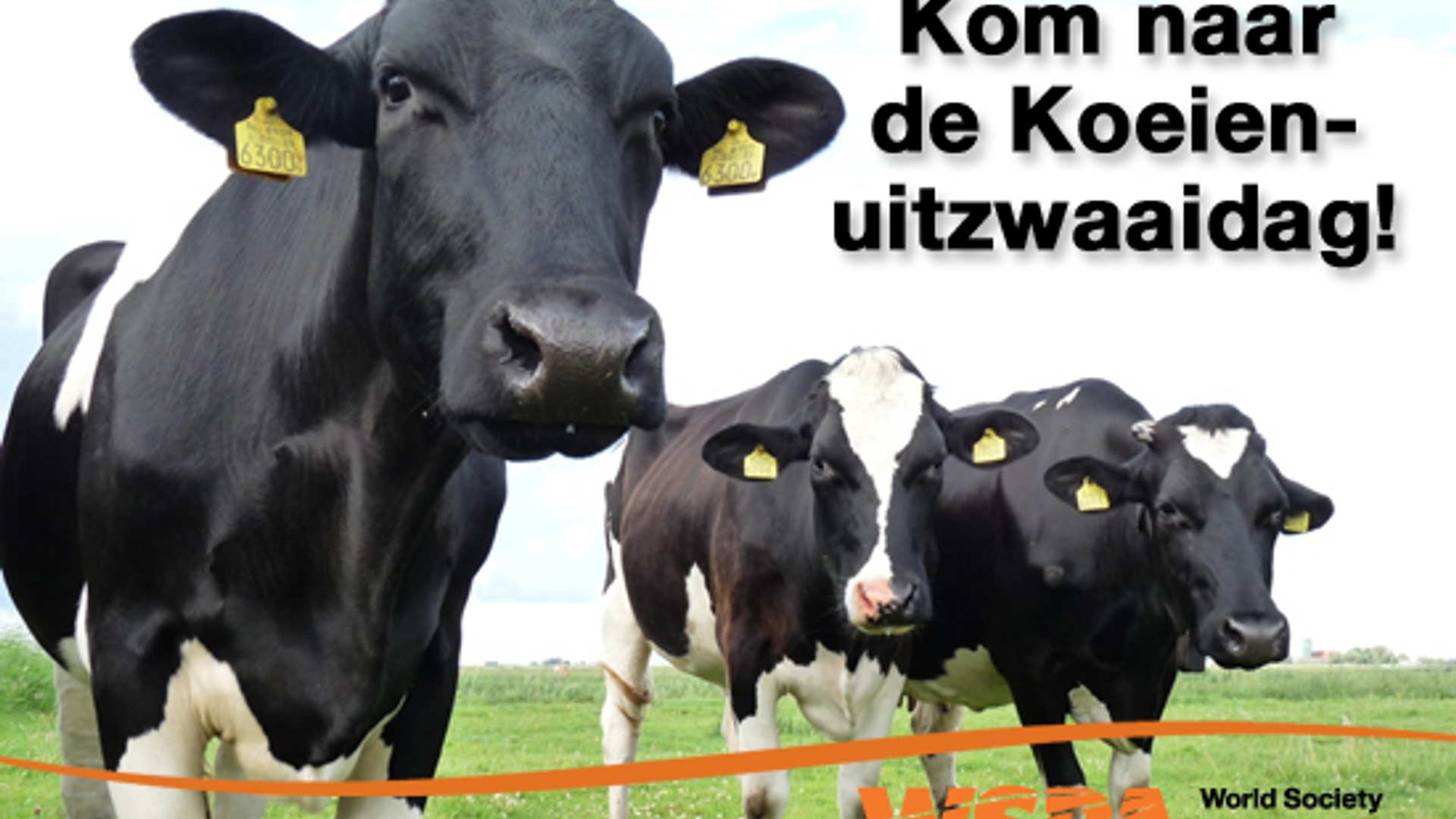 Header-koeien-uitzwaaien.jpg