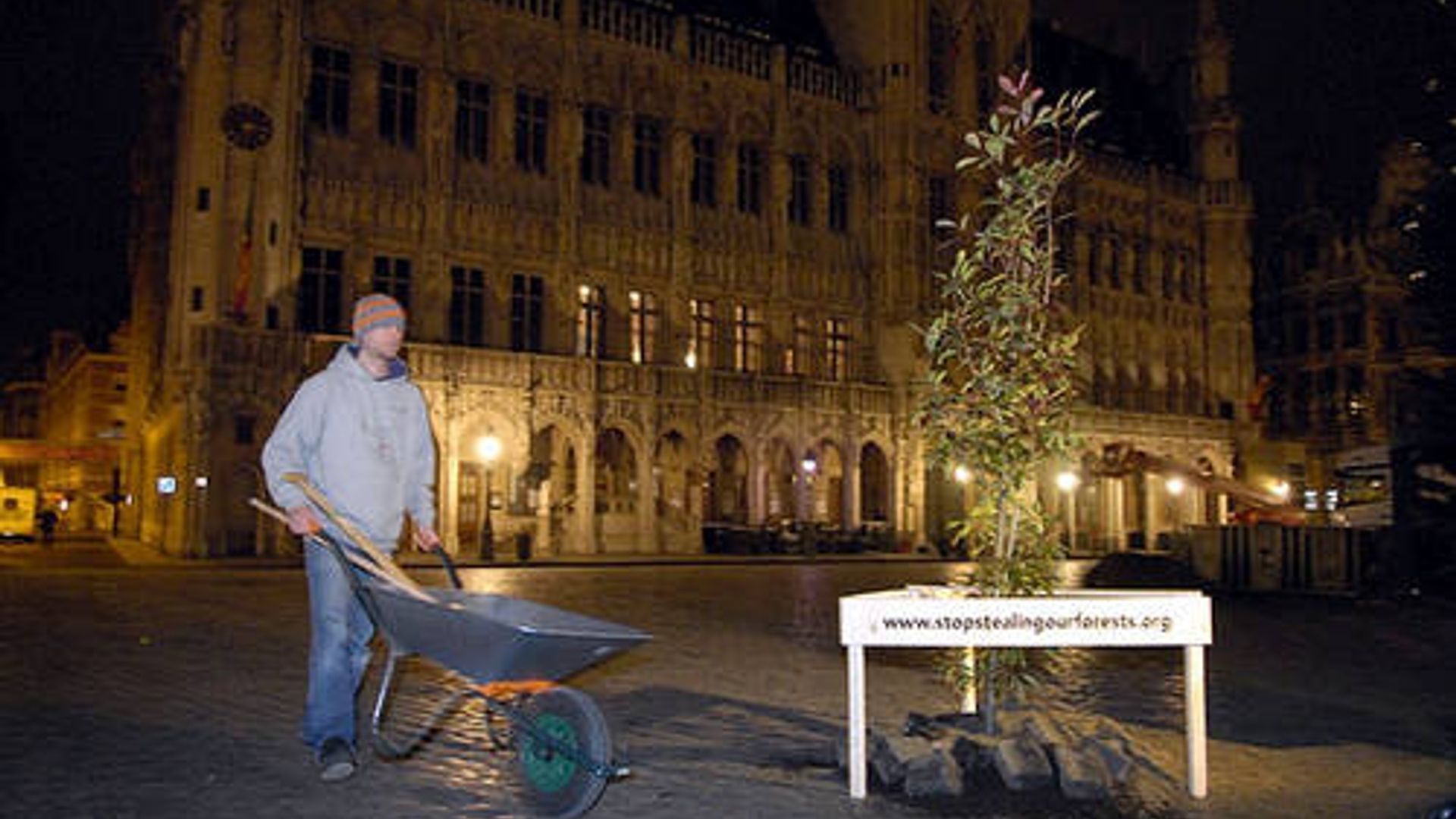 bomenplant_Brussel.jpg