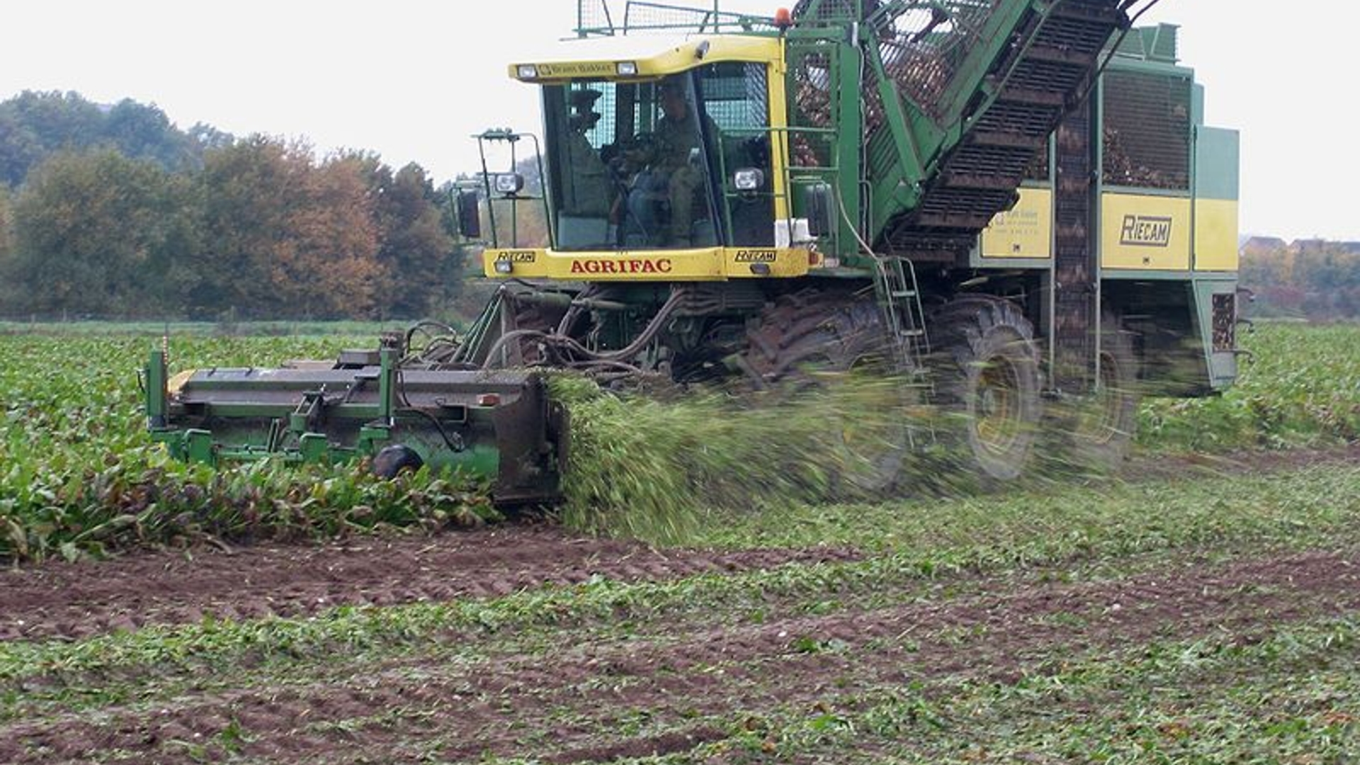 800px-Suikerbietenrooier_zesrijige_bunker__Sugarbeet_harvester_.jpg