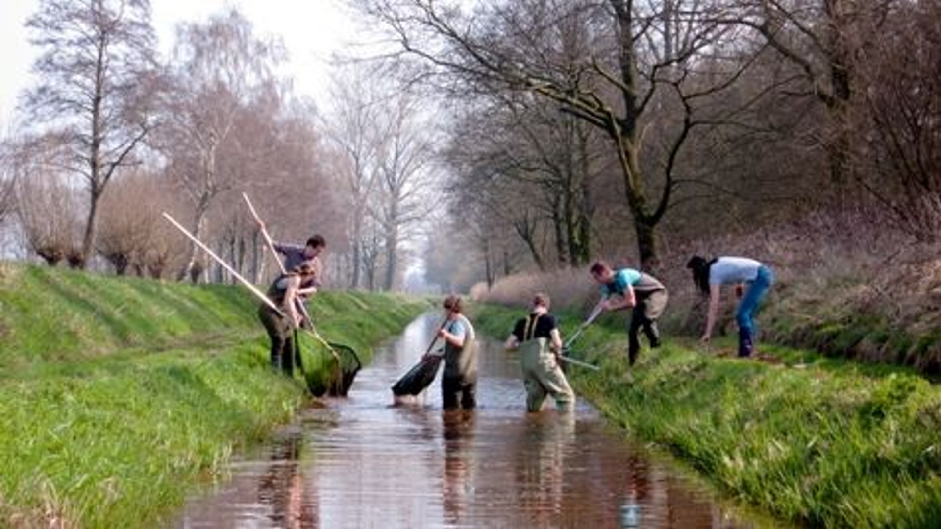 schepnetvissers20in20actie_matthijs20de20vos2.jpg