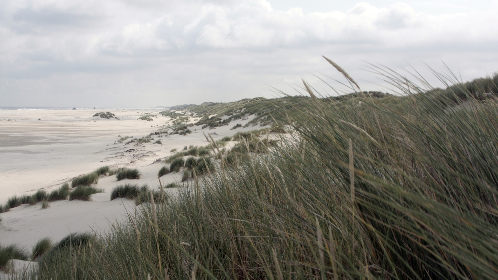 duinen_18.jpg