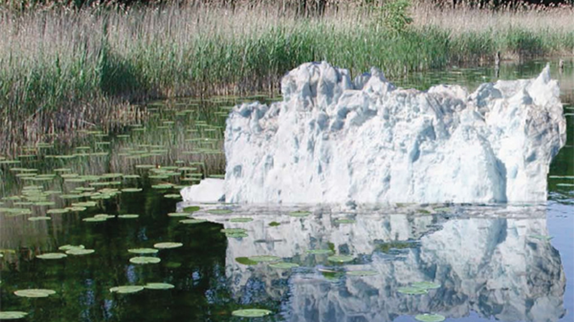 opgewarmde-natuur_01.jpg