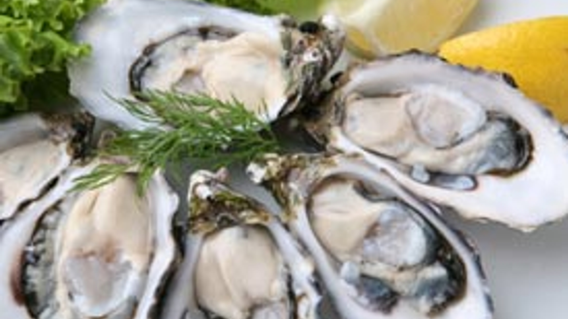 xl1473_oesters-voor-beginners.jpg