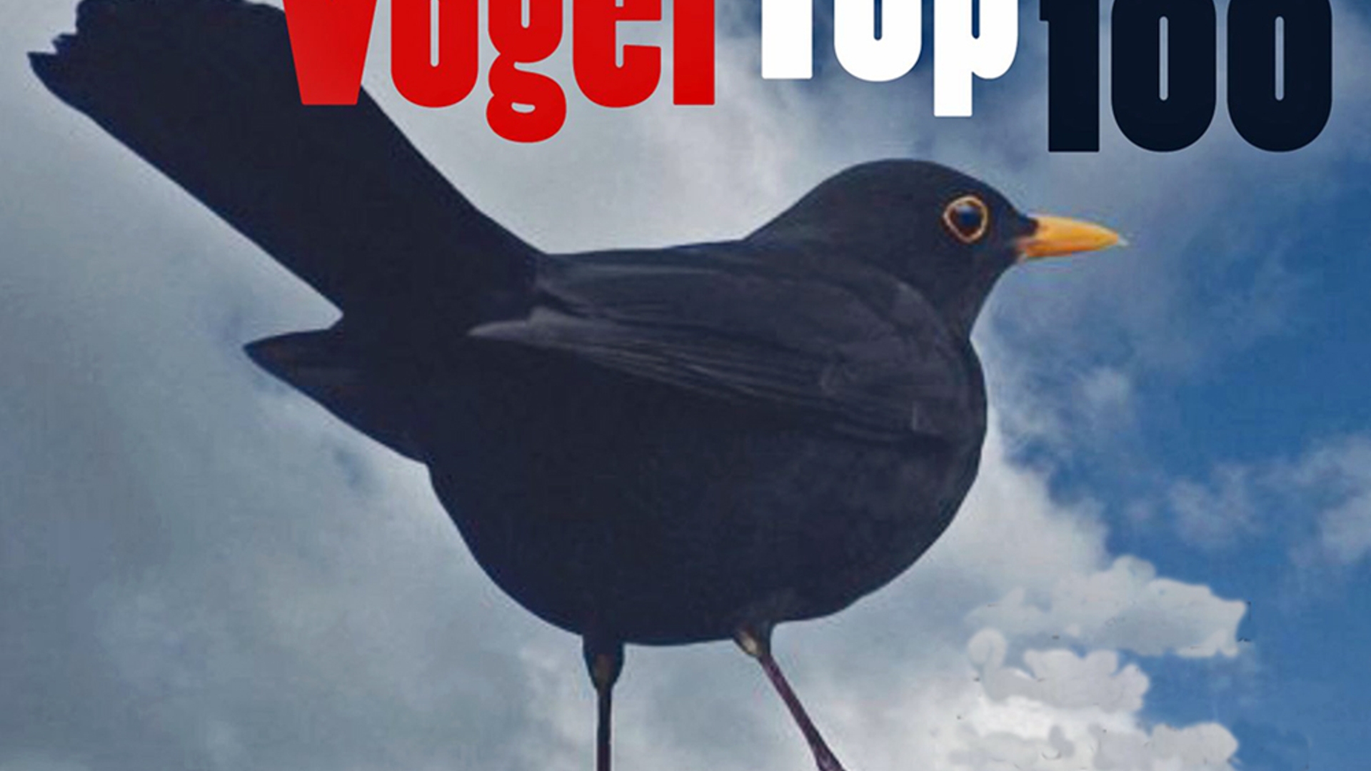 VogelTop100_cd.jpg