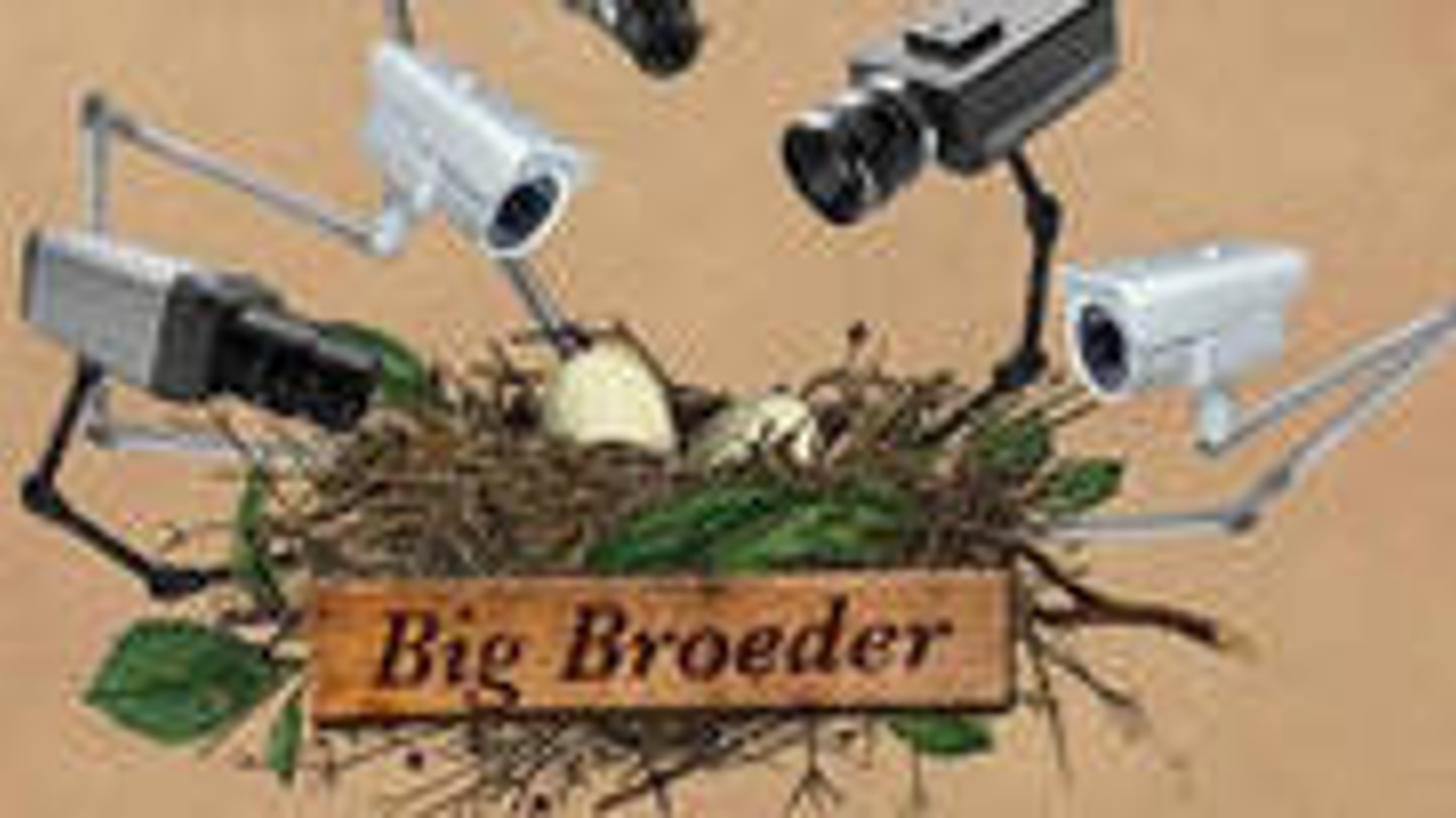 Big_Broeder_04.jpg