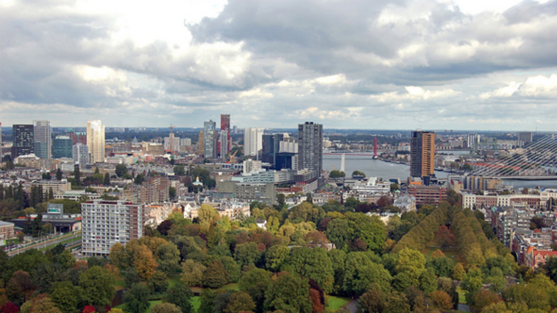 Rotterdam_Alias-0591-Flickr.jpg