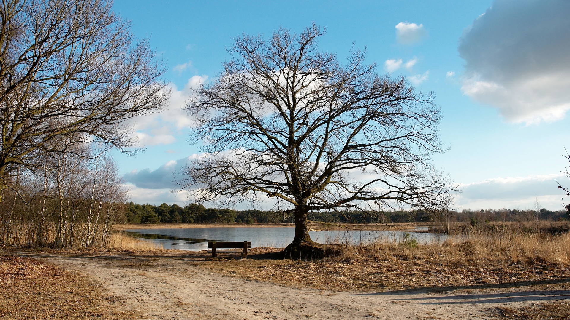 Bergvennen_Dinkelland_CC.jpg