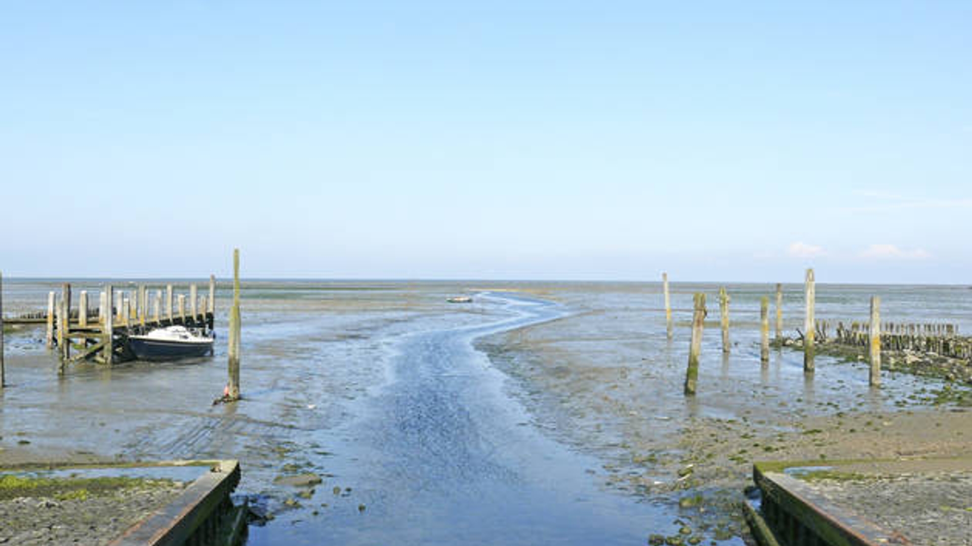 wadden_04.jpg