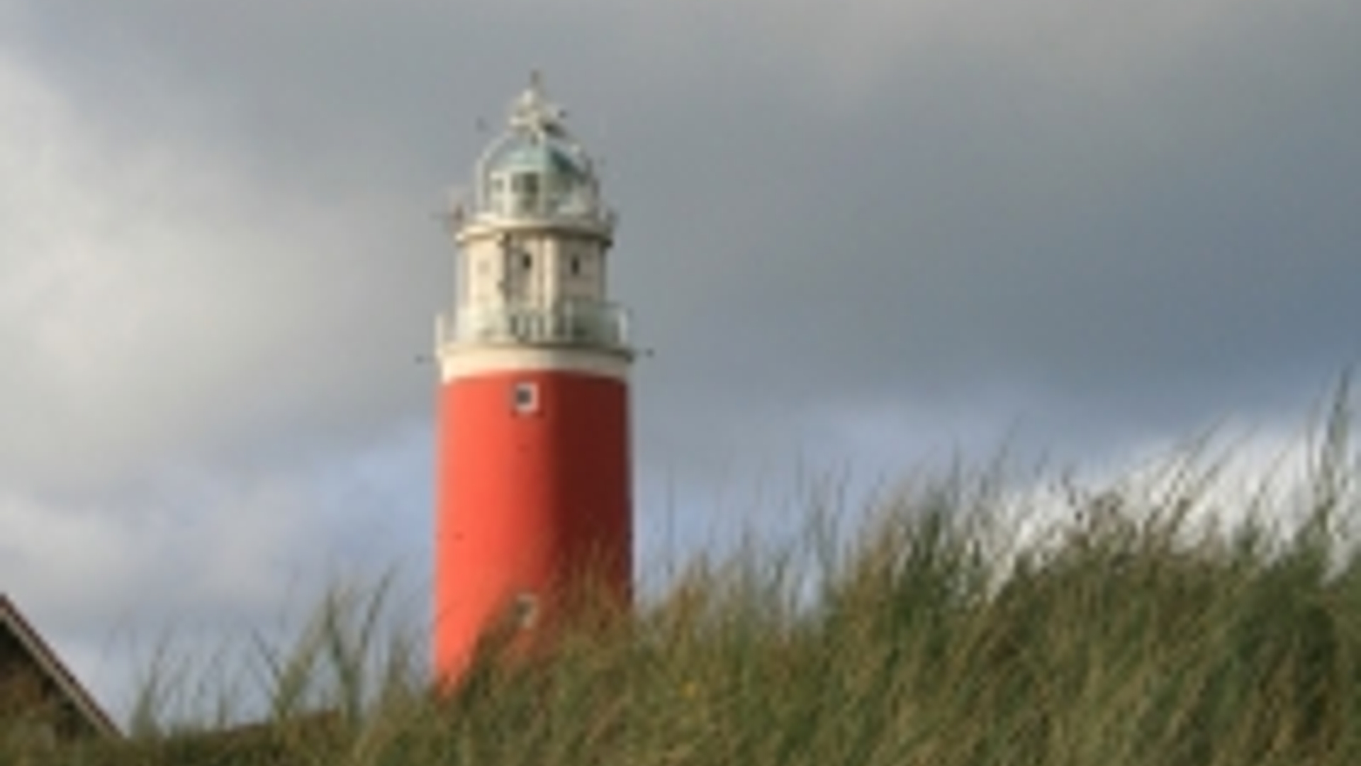 texel_10.jpg