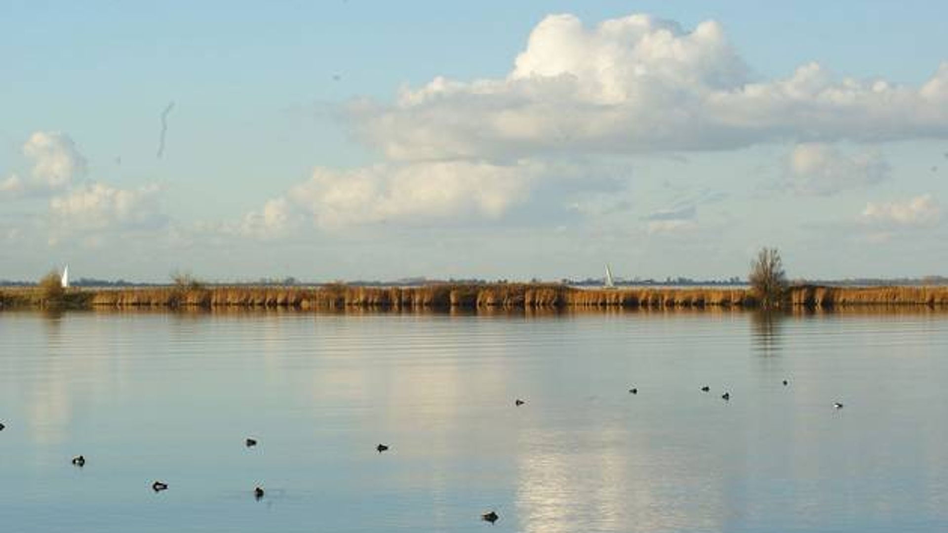 Markermeer.jpg