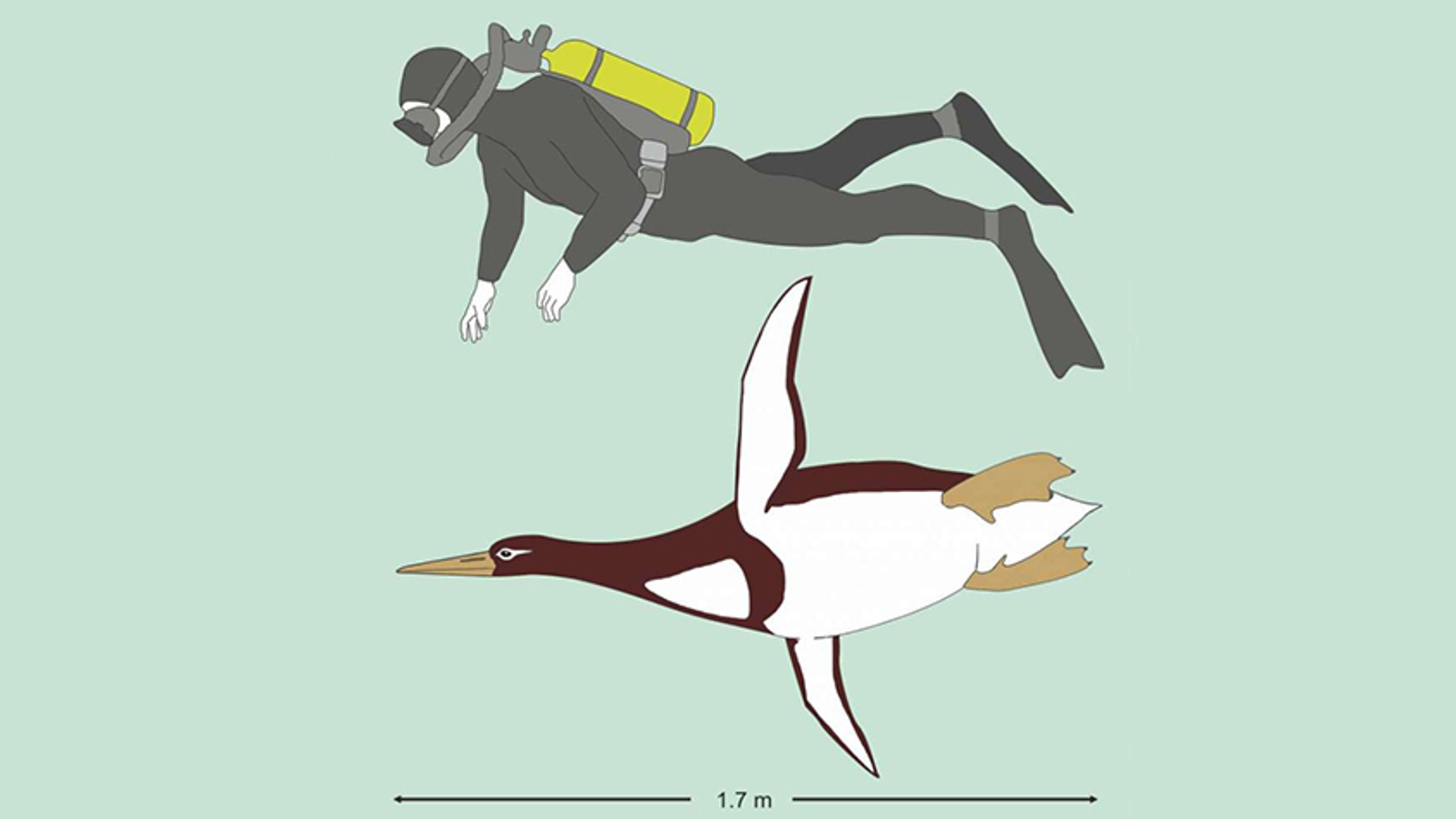 Prehistorische pinguïn