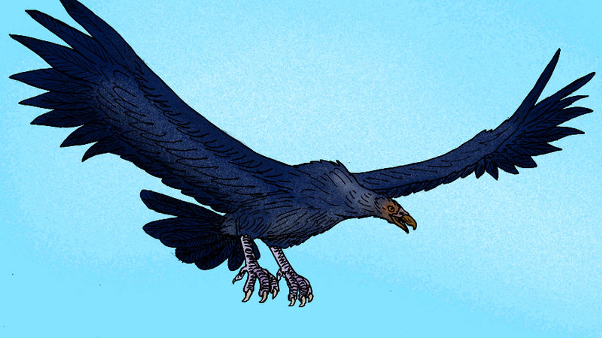 argentavis.jpg