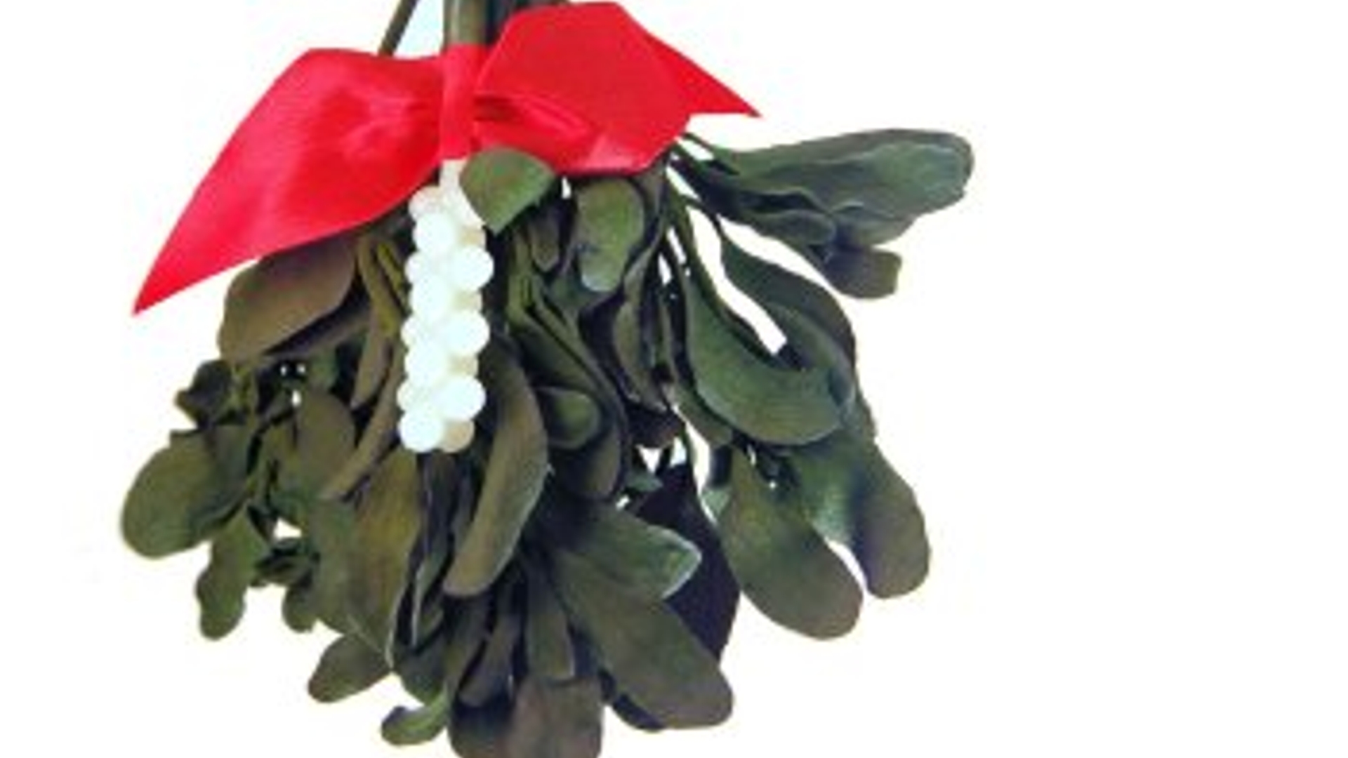 mistletoe.jpg