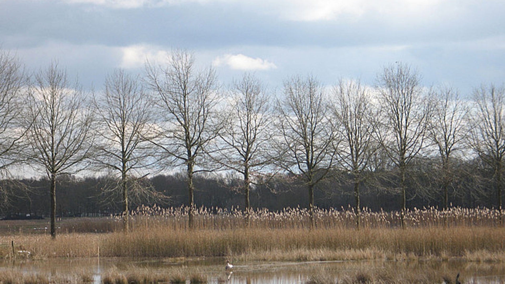 natuurverkoop.jpg