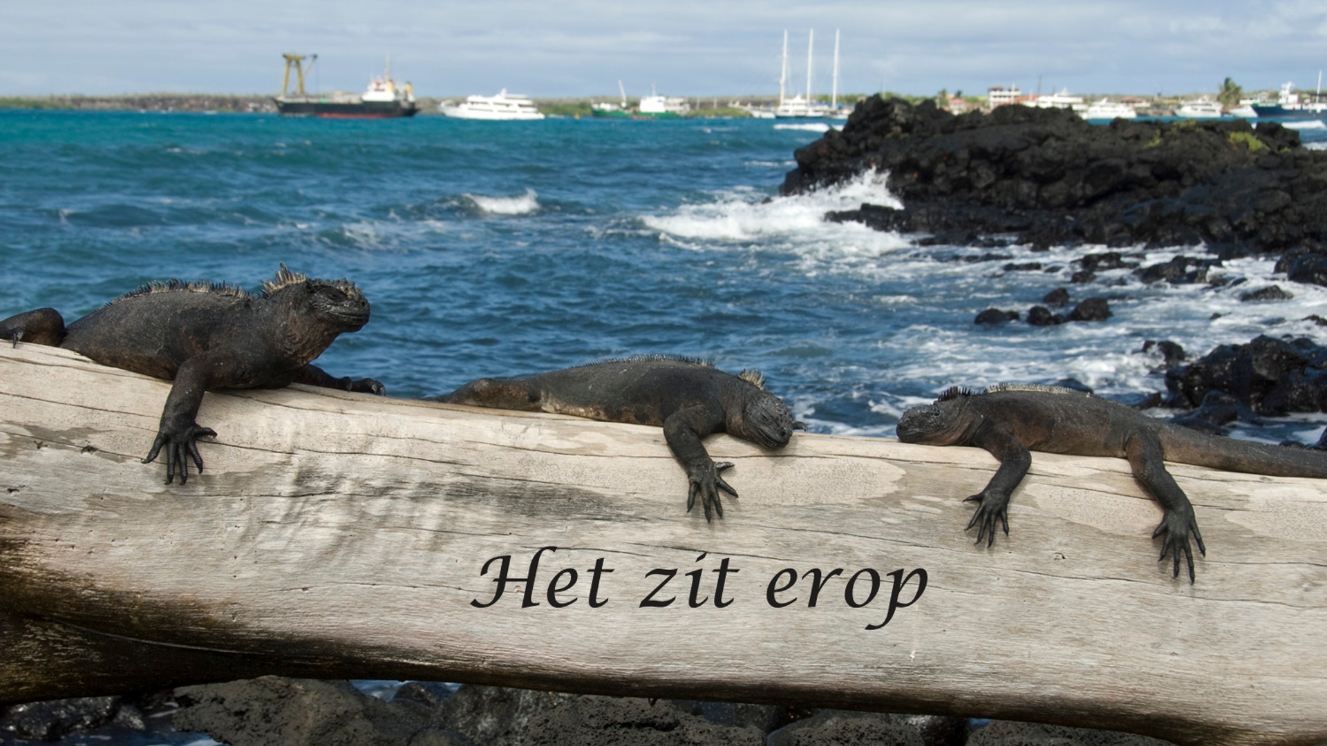 vv_het_zit_erop_JA22355.jpg