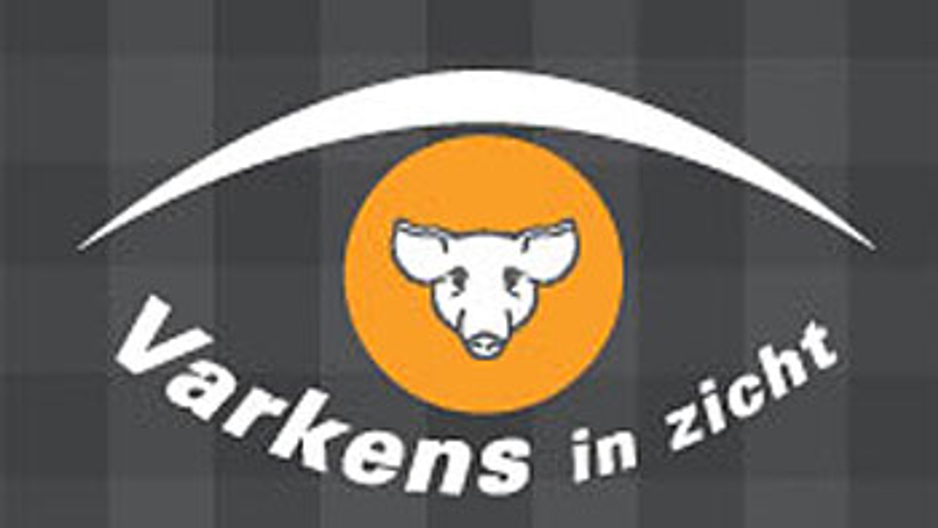 logo_varkens_in_zicht.jpg