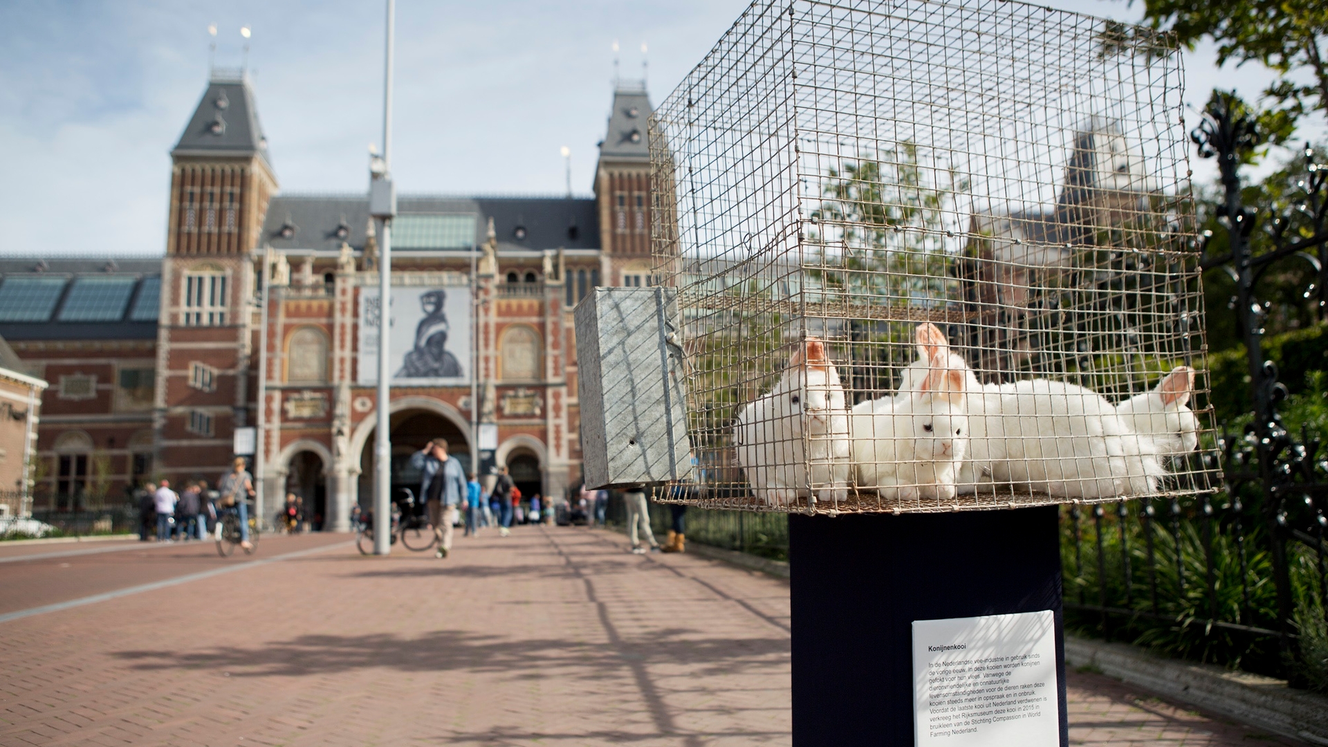 Rijksmuseum_konijnenkooi_CIWF.jpg