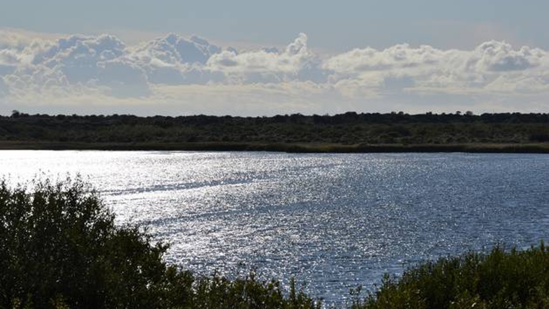 Grevelingenmeer.jpg