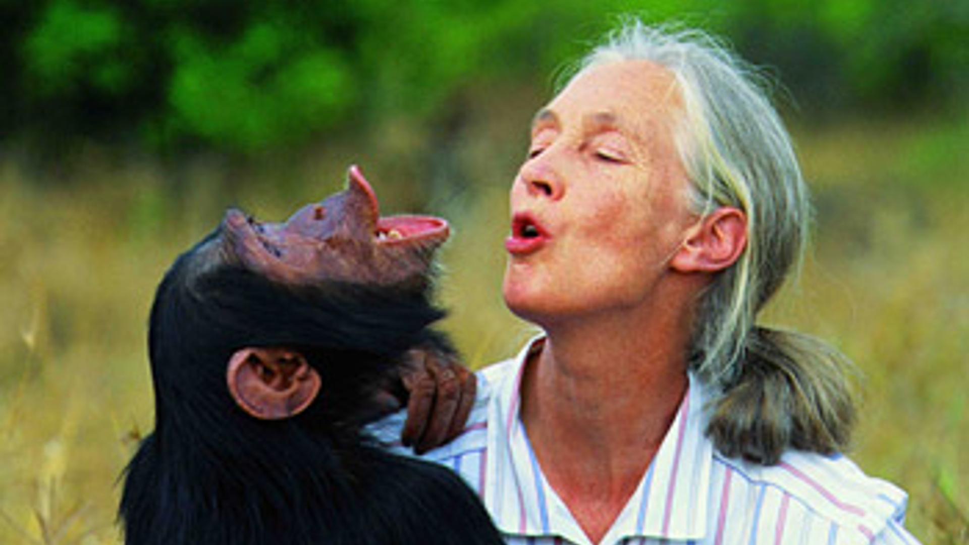 janegoodall.jpg