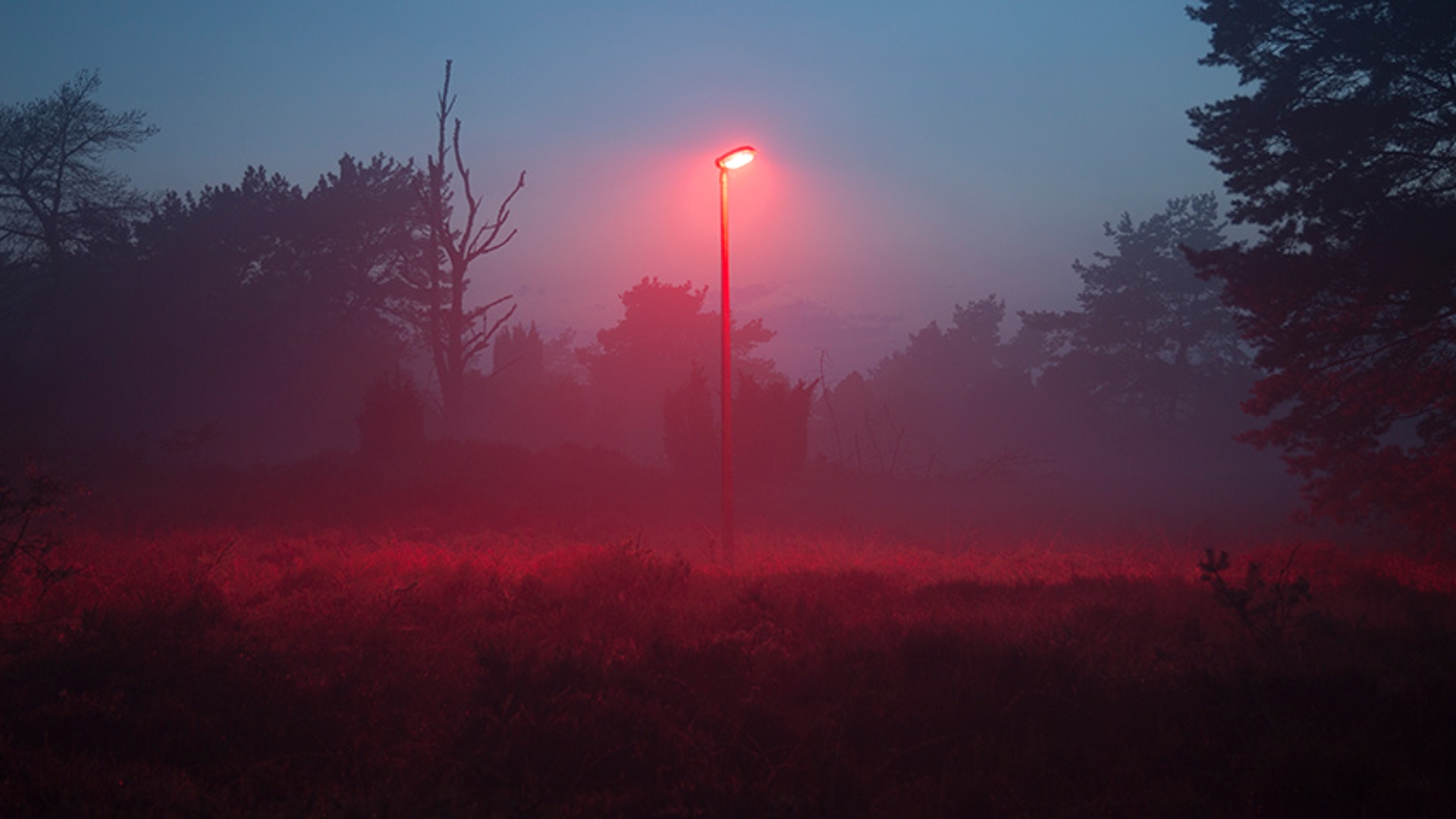 Rood licht paal