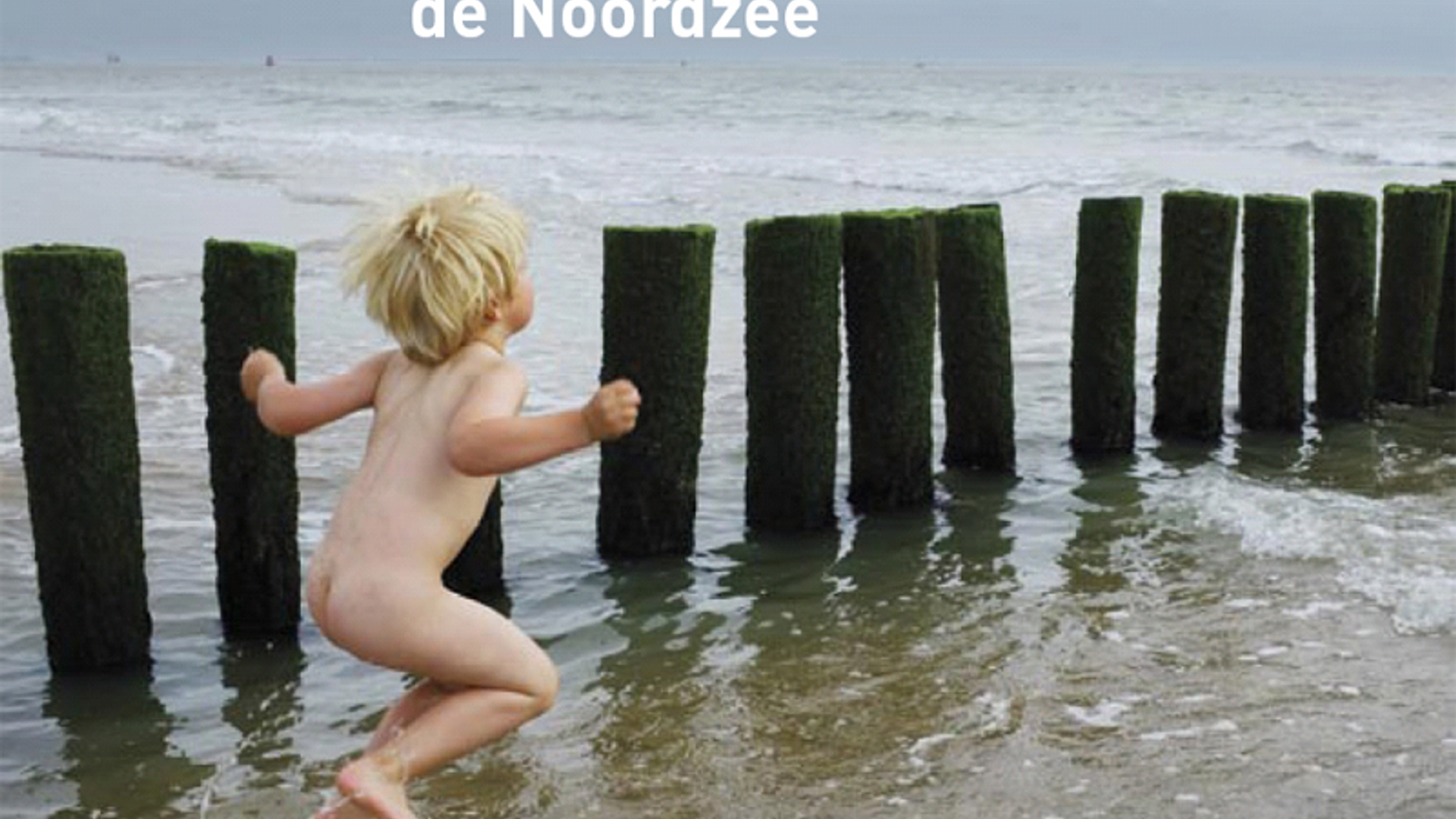 cover_Terra_Noordzee_energiebron.jpg