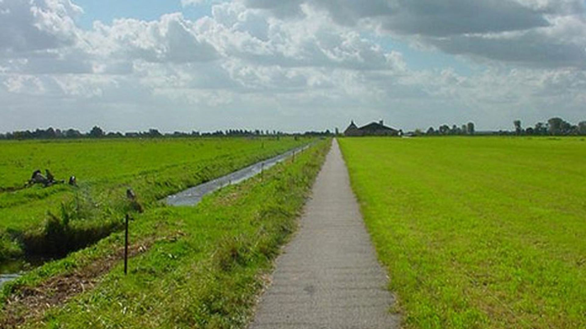 Veendijk_Steven-Trooster-Flickr.jpg