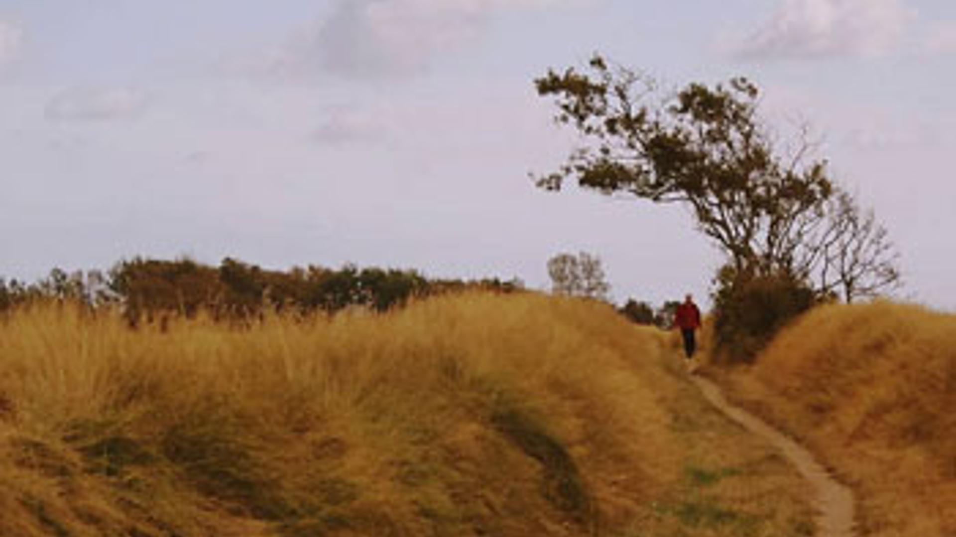 Landscchap-tuunwallen-texel.jpg