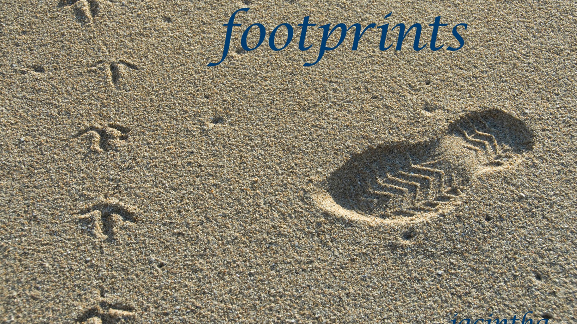 galapagos_footprint.jpg