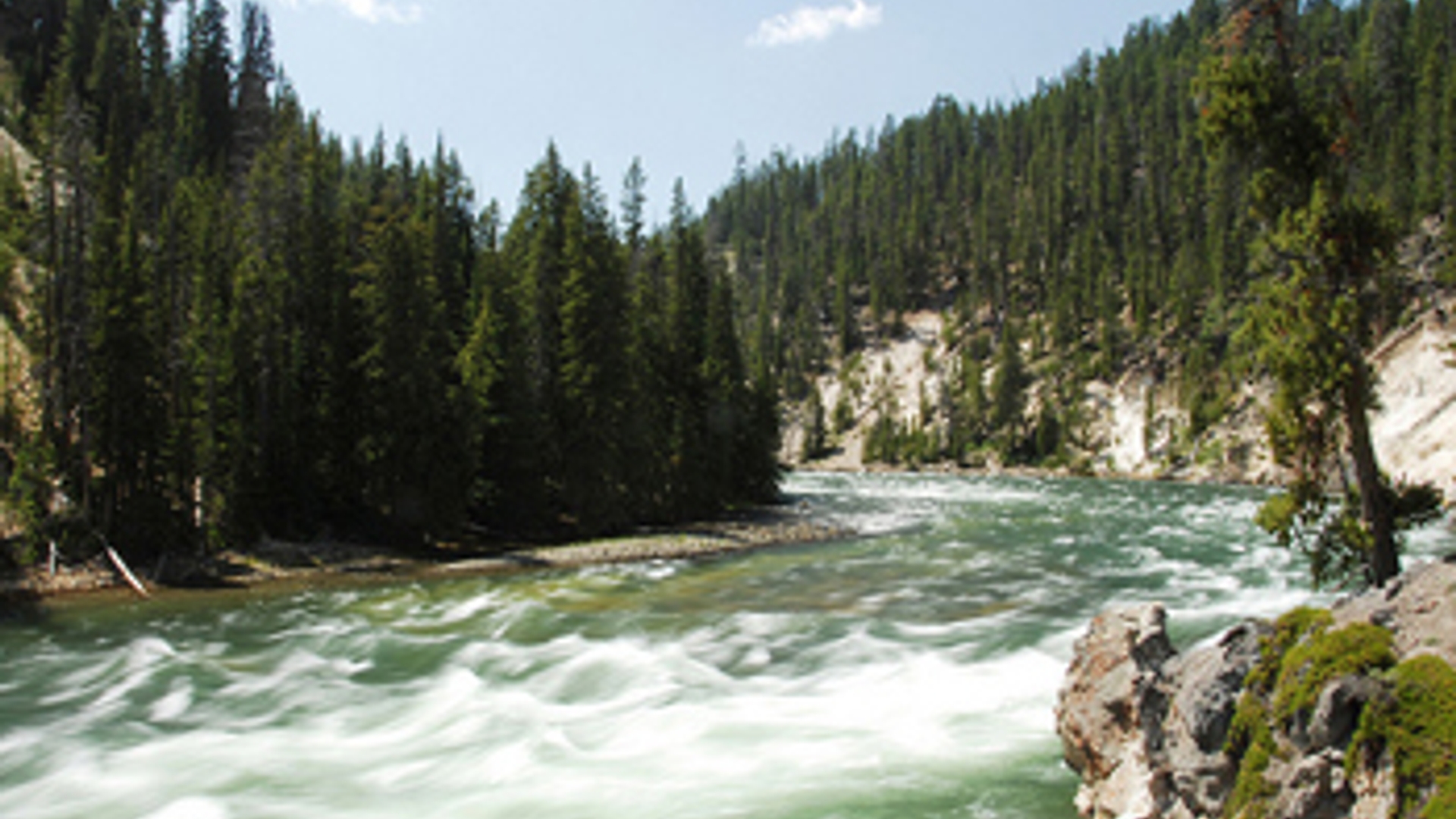 yellowstoneriver_cc_GuyFort.jpg