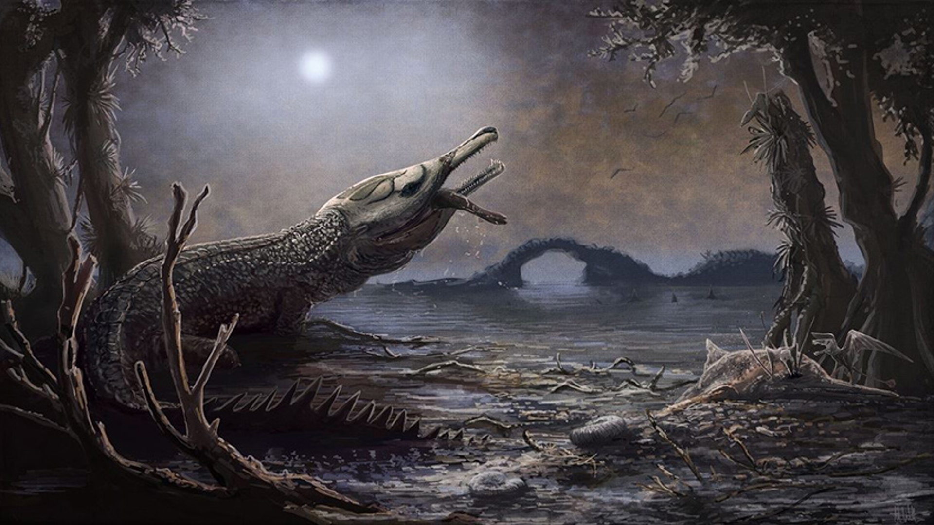Prehistorische krokodil - niet hergebruiken