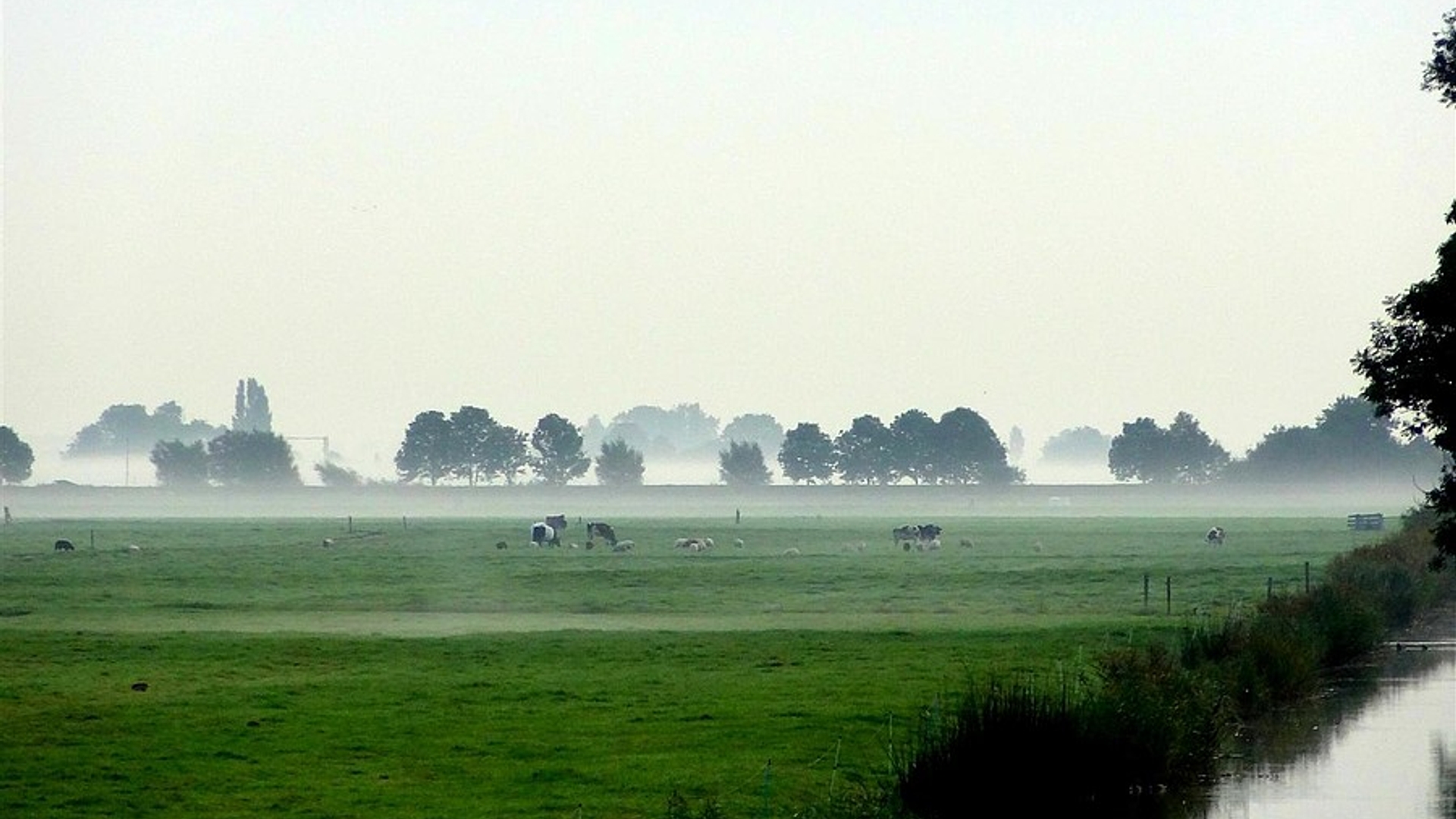 polder_willekeurig.jpg