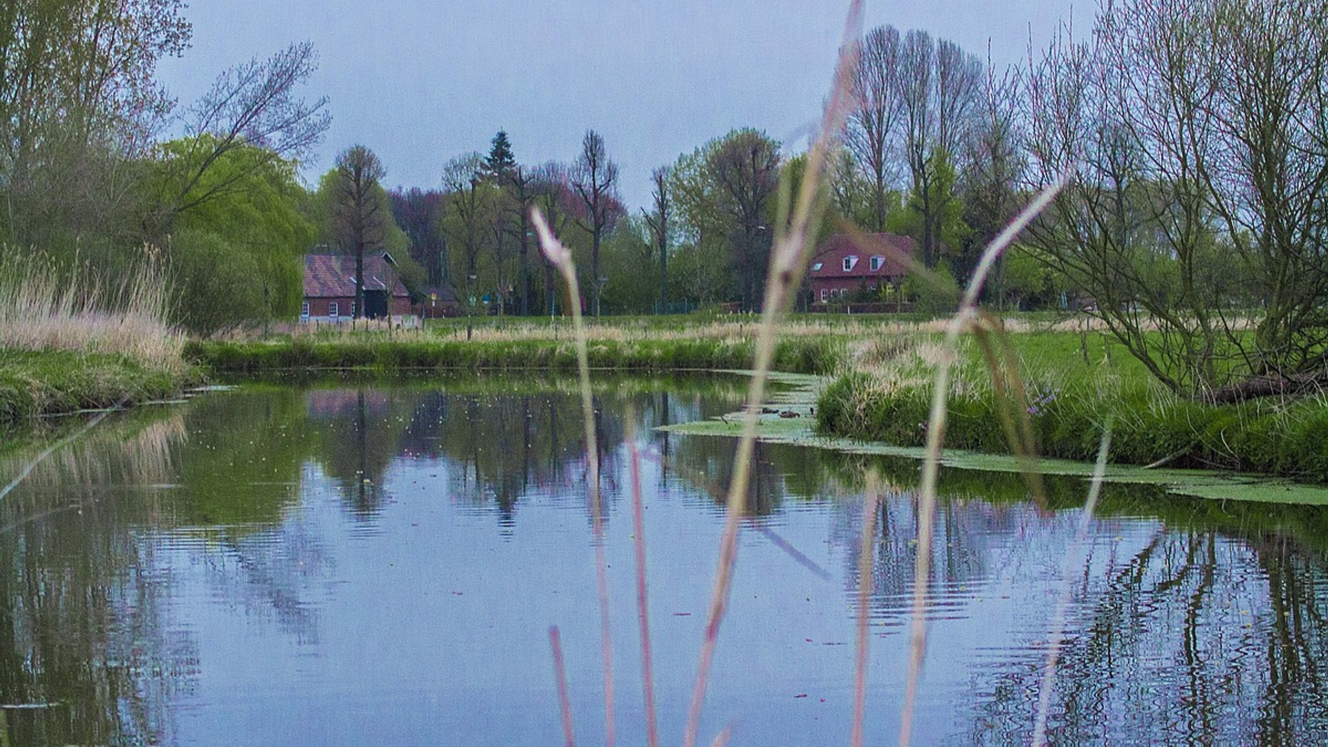 dommel_02.jpg