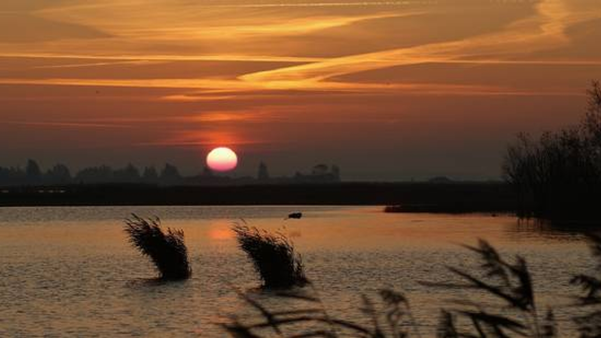 lauwersmeer.jpg