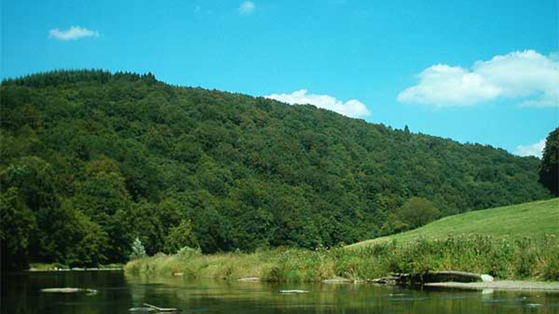 ardennen.jpg