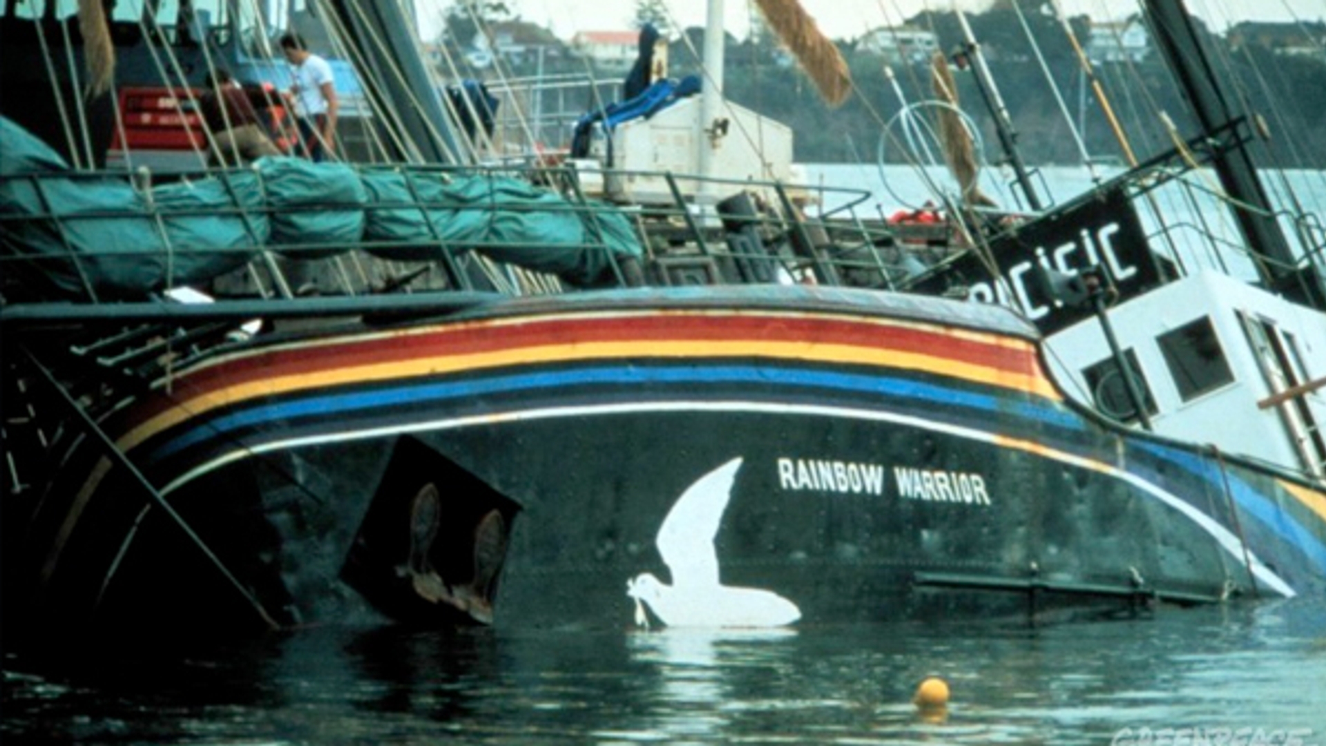 Rainbow-Warrior-Greenpeace.jpg