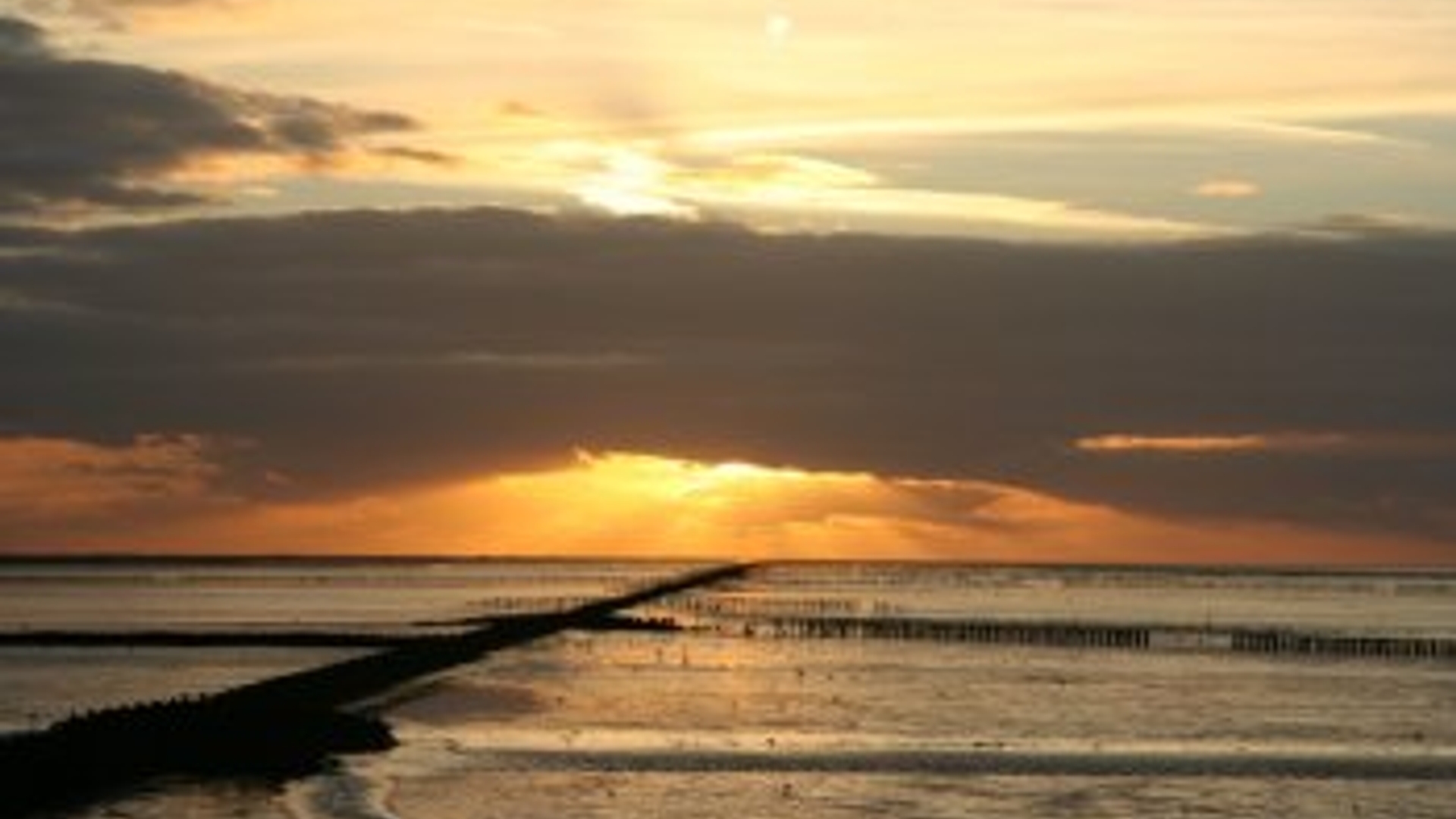 waddenzee_10.jpg