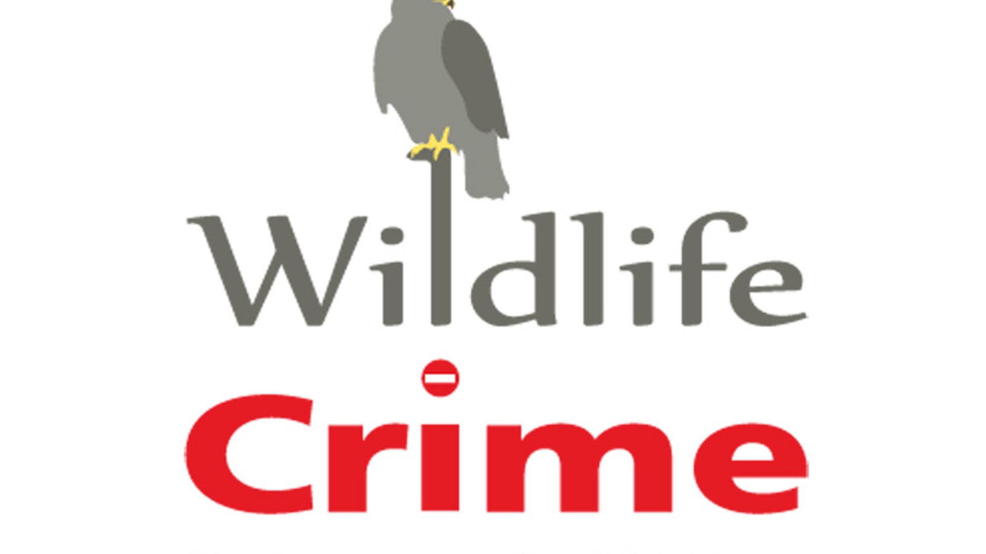 wildlife-crime.jpg