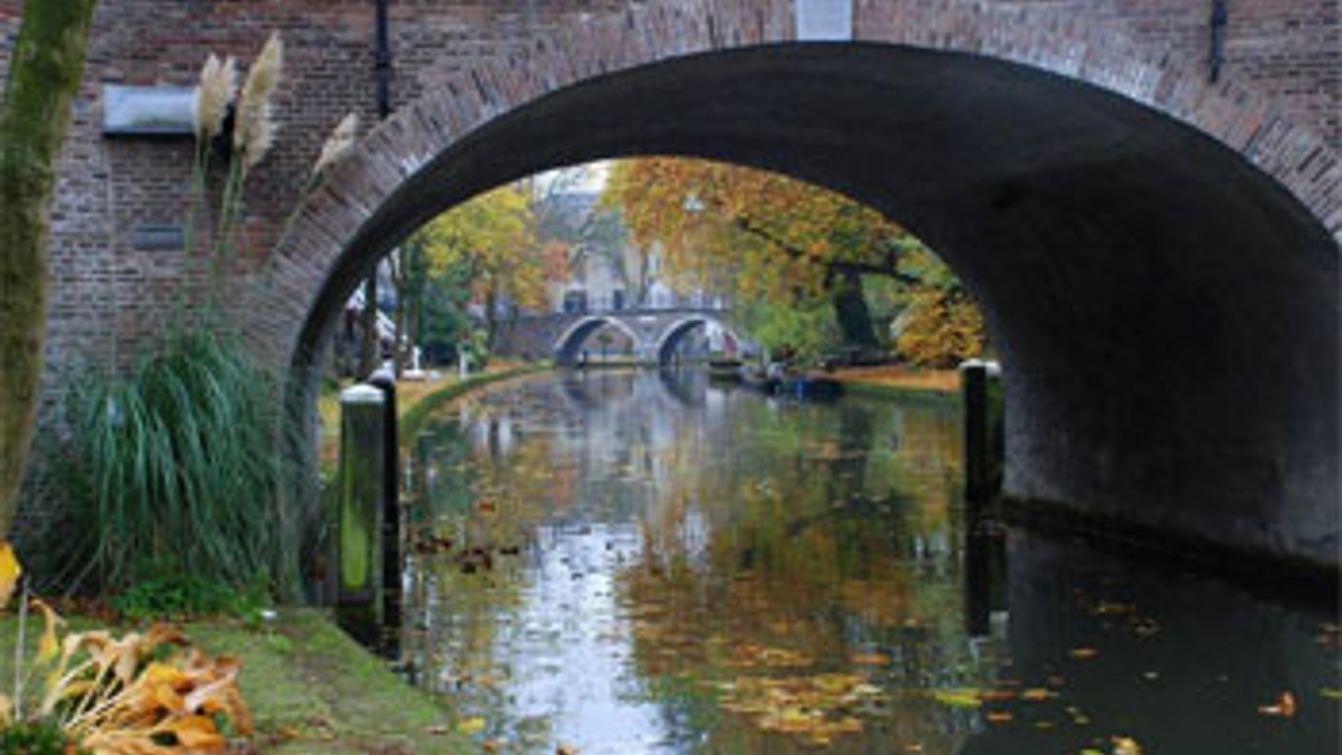 Gracht.jpg