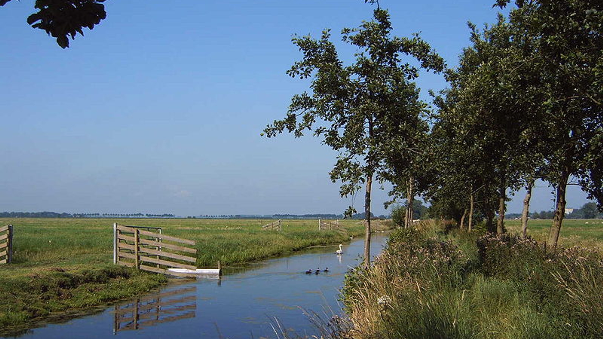 landschap_water.jpg