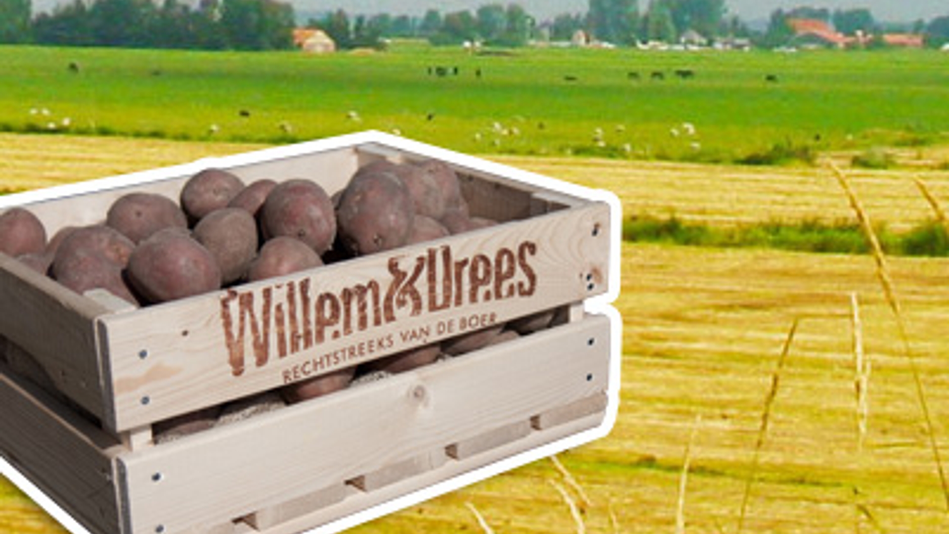 willem_drees_01.jpg