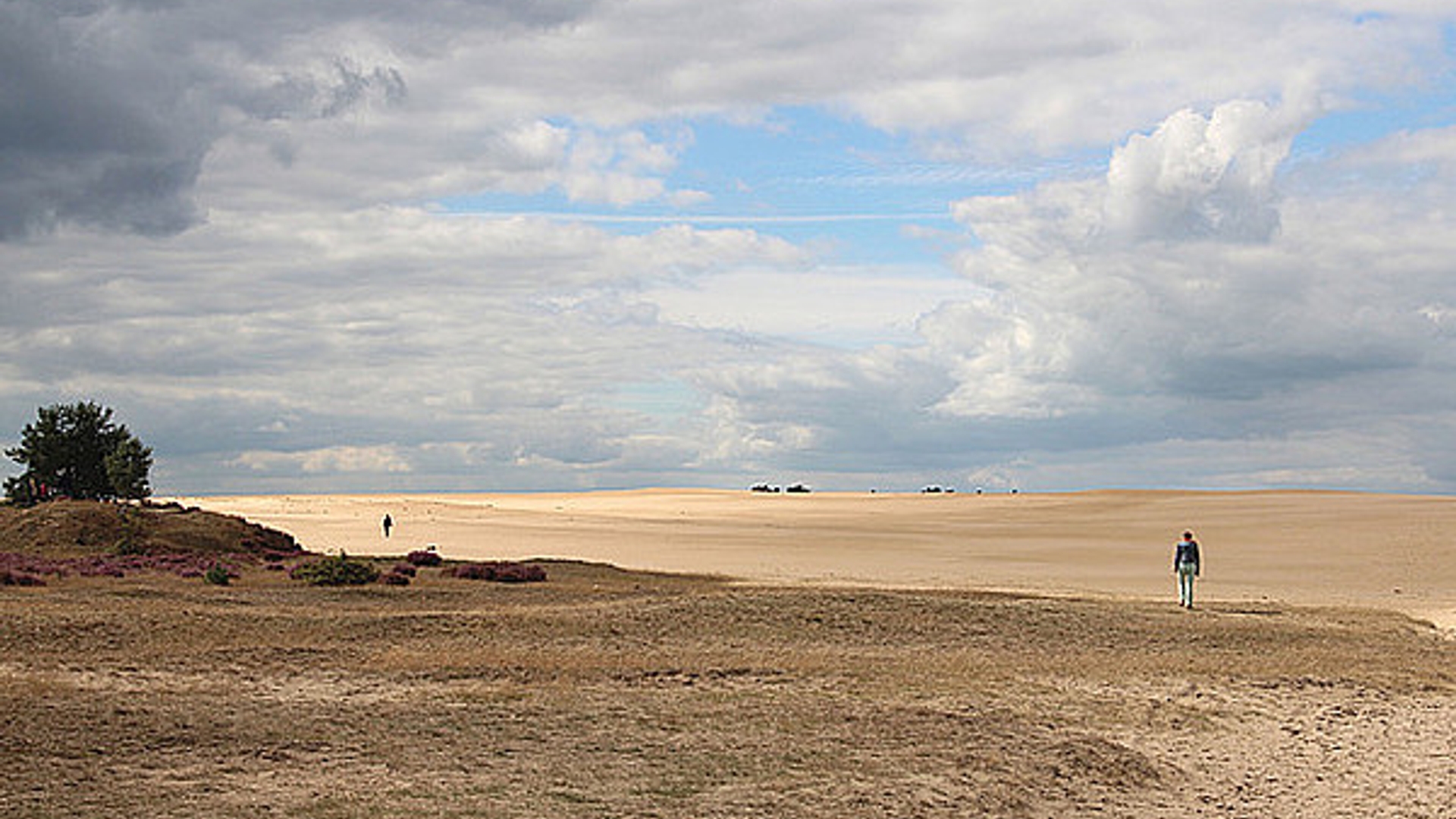 veluwe_19.jpg