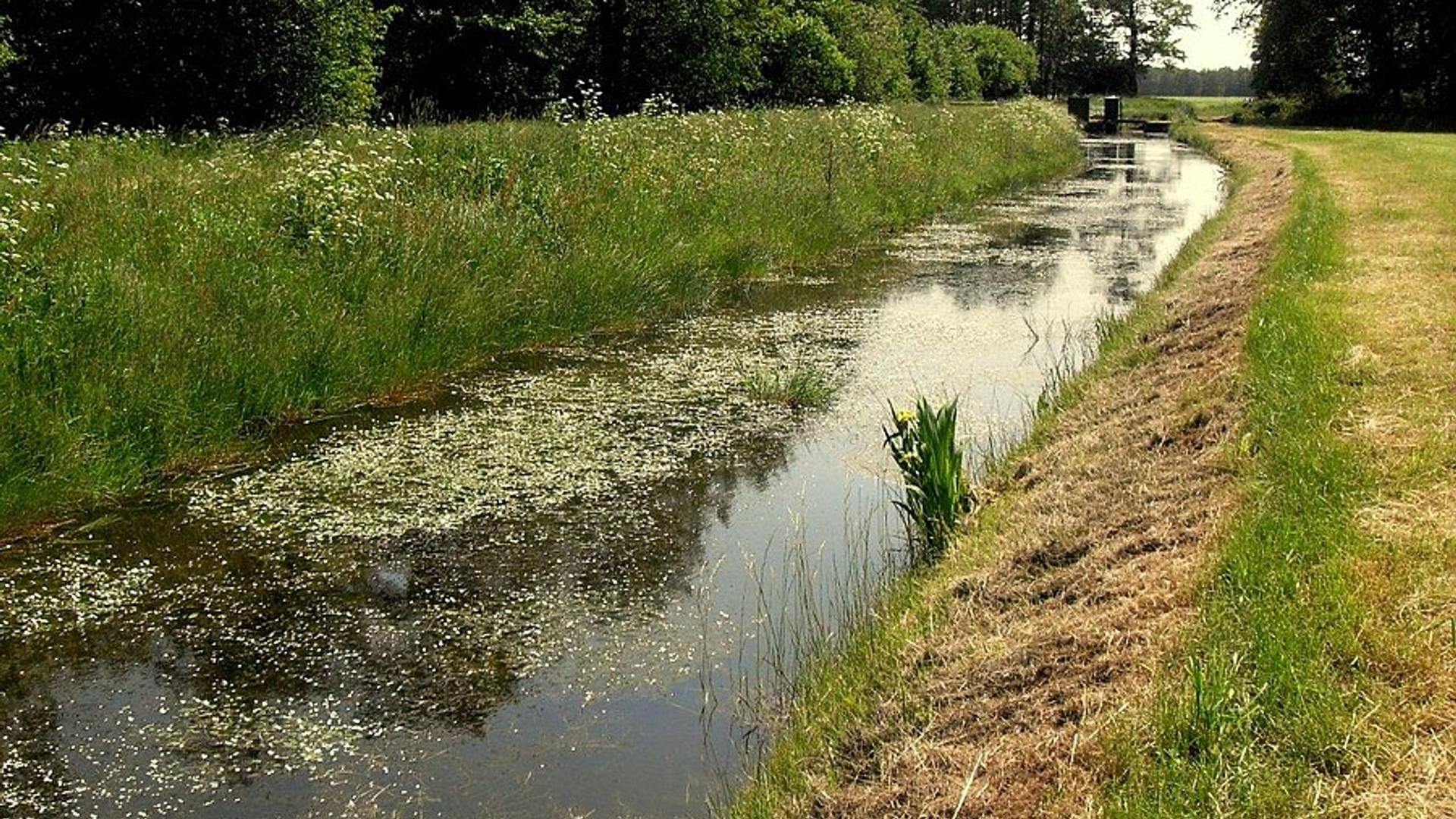 drenthe.jpg