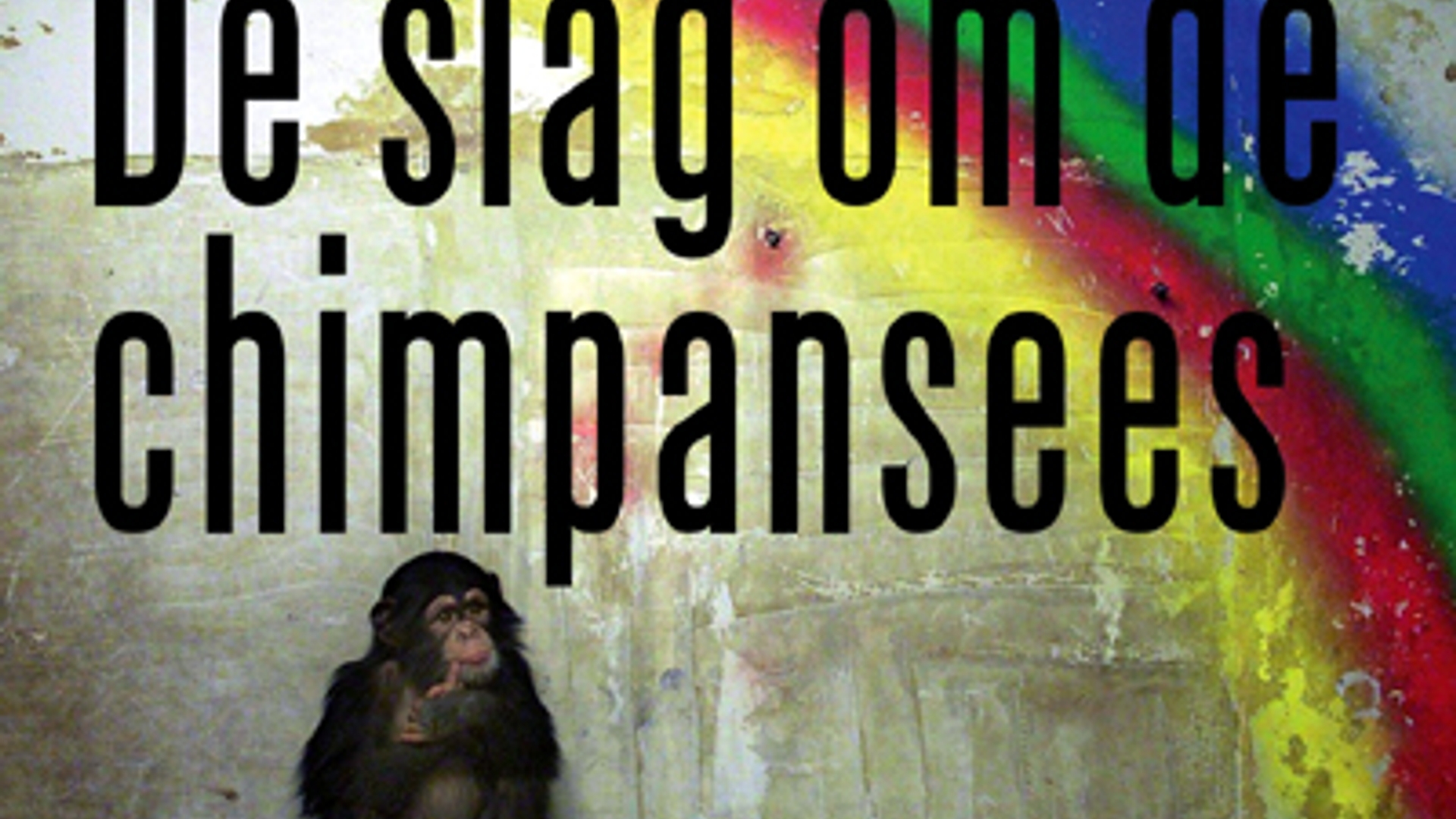 chimpansee.jpg