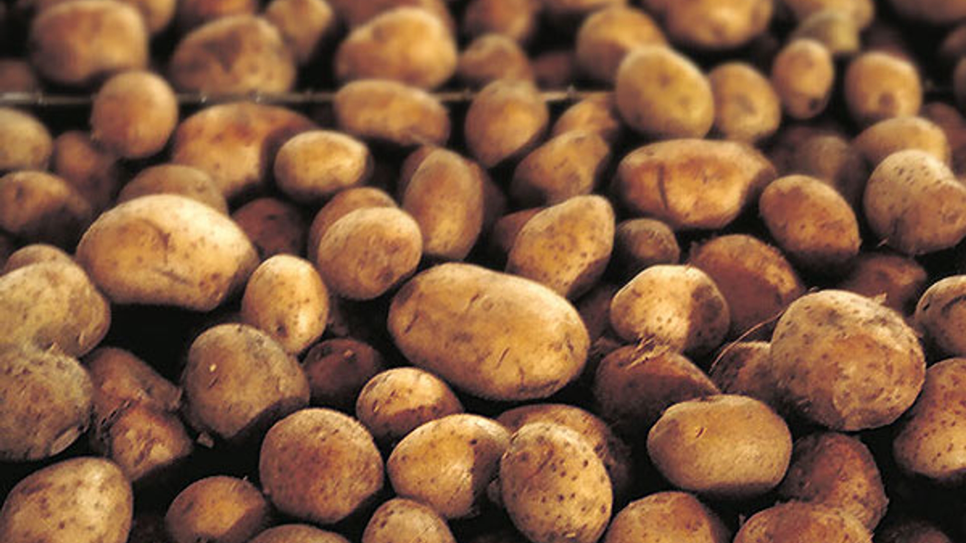 aardappels.jpg