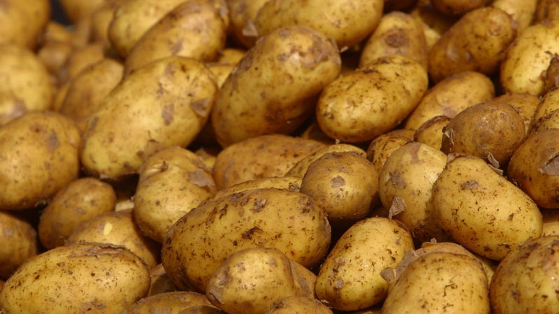 potatoes_01.jpg